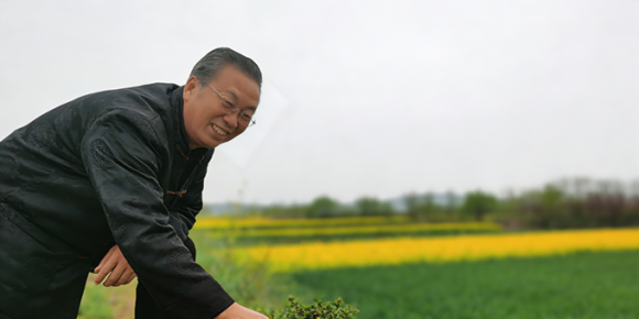 【洛沙随笔】跟上姚选富识百草之百三十二：田埂识草记