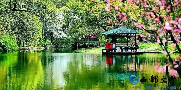 【徐东风散文】岁月悠长，万物可期