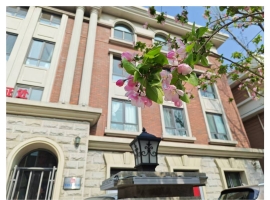 【秋枫杂诗】丙午清明祭