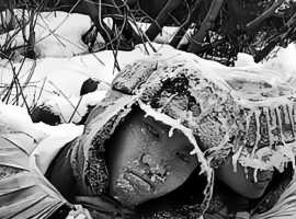 【徐东风诗歌】冰雕