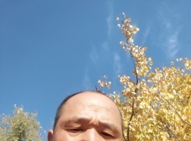 中年痴语