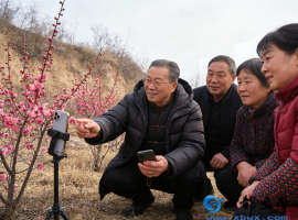 【洛沙随笔】跟上姚选富识百草之一百一十八：梅草藏良方