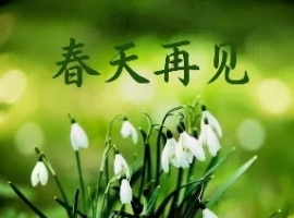 五月如约，万事可期
