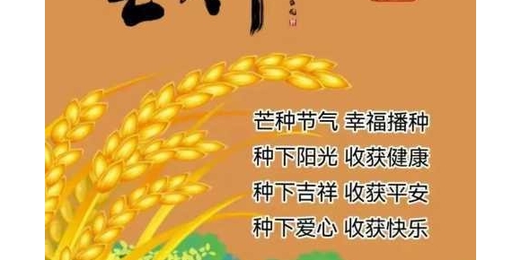 【徐东风散文】风吹麦浪，万物向阳