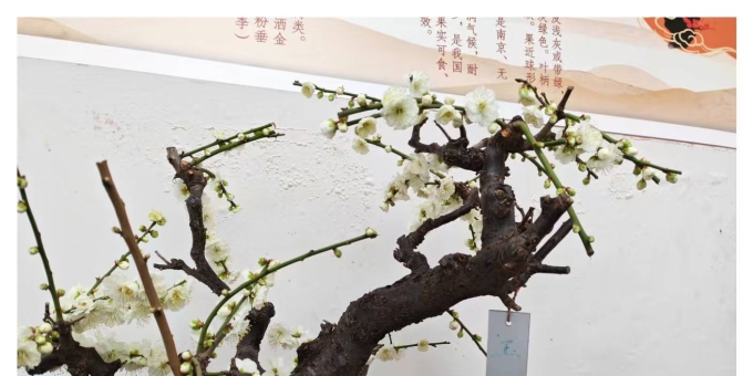 【秋枫随笔】偶感等