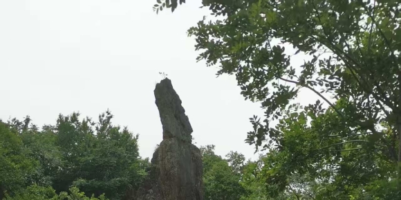 【汤斌昌诗歌】念奴娇·秋游