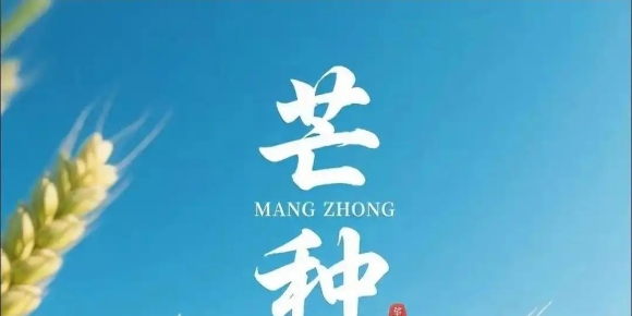 【禅悟诗歌】微诗三首