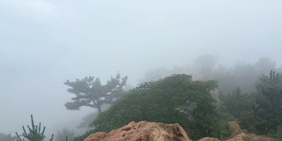 【武孝君诗词】雨雾浮山中（七）