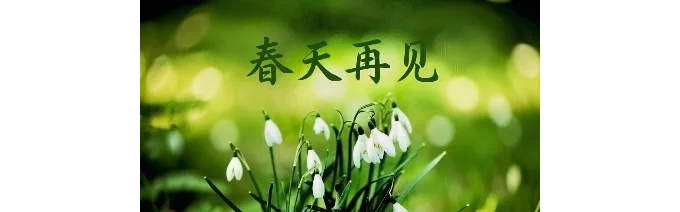 五月如约，万事可期