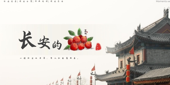 【徐东风散文】一颗荔枝的含辛茹苦