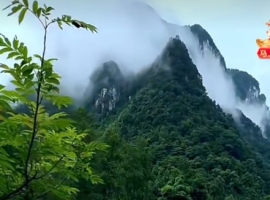 我和春天有个约会（外一首）