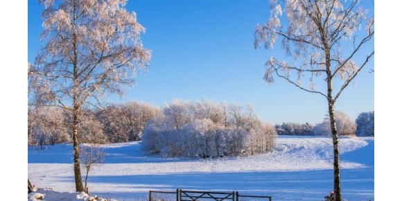 【禅悟诗词】立冬
