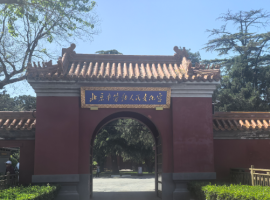 【海潮诗词】临江仙  谷雨游劳动人民文化宫