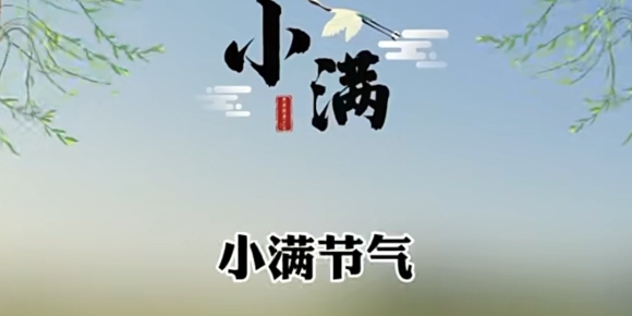 【芸竹诗词】七绝   小满