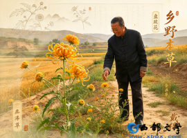 【洛沙随笔】跟上姚选富识百草之三百三十九：旋花记