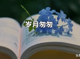 【徐东风诗歌】如果岁月能回头