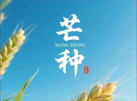 【禅悟诗歌】微诗三首