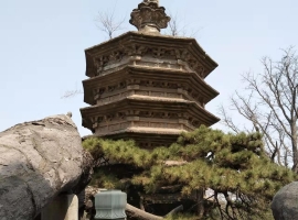 【秋枫散文随笔】精气神