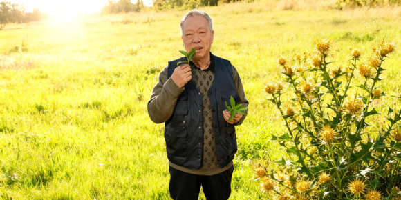 【洛沙随笔】跟上姚选富识百草之二十五：金草止血诀