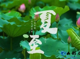 【徐东风诗歌】夏至