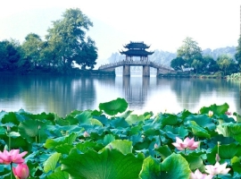 【徐东风诗歌】夏天总有一些好消息