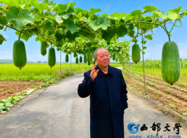 【洛沙随笔】跟上姚选富识百草之二十八：冬瓜解夏馋