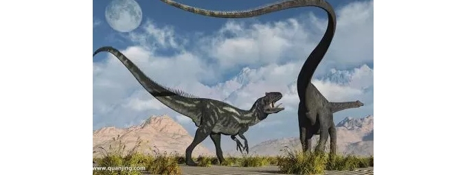 【徐东风诗歌】奥陶纪