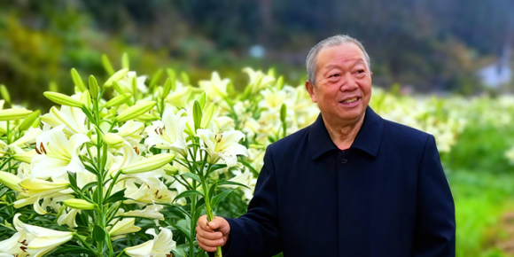 【洛沙随笔】跟上姚选富识百草之二十四：百合润心记