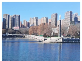 【秋枫三行日记】读百草美文等