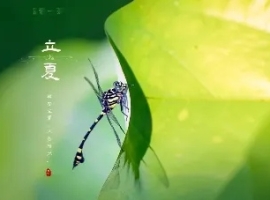 【徐东风诗歌】立夏