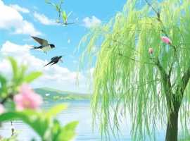 【徐东风散文】行走于心，止步于沉默