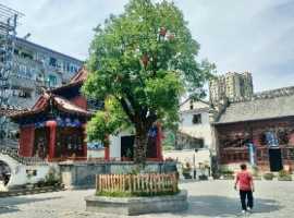 【王兴林诗歌】后柳古镇