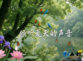 【徐东风散文】倾听夏天的声音