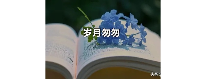 【徐东风诗歌】如果岁月能回头