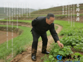 【洛沙随笔】跟上姚选富识百草之百三十四：田埂识金记