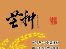 【徐东风散文】风吹麦浪，万物向阳