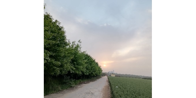 【龙竹武诗词】下队碰头感怀