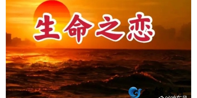 【徐东风诗歌】生命之恋