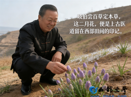 【洛沙随笔】跟上姚选富识百草之百五十一：二月花疗语