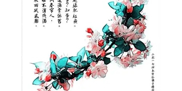 【徐东风散文】应是绿肥红瘦