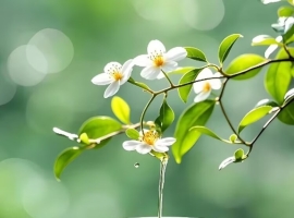 【徐东风诗歌】七月的重量
