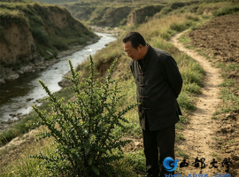 【洛沙随笔】跟上姚选富识百草之二百六十：虎刺康养