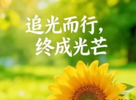 【徐东风散文】追光而行，终成光芒