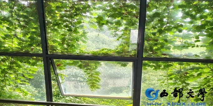 【铁石诗歌】一棵树里的夏天