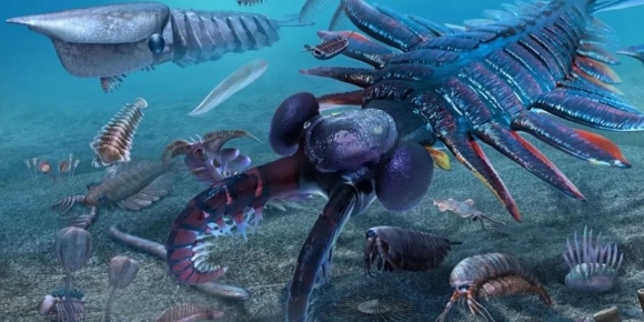 【徐东风诗歌】寒武纪