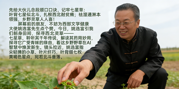 【洛沙随笔】跟上姚选富识百草之百四十：七星草里藏乾坤