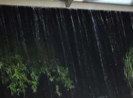 【芸竹诗词】七绝  夜雨感怀