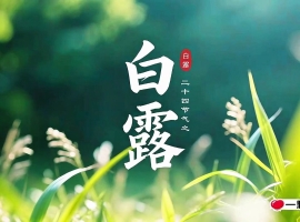 【徐东风散文】露从今夜起，月是故乡明