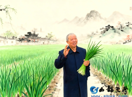 【洛沙随笔】跟上姚选富识百草之二十二：黑芝麻