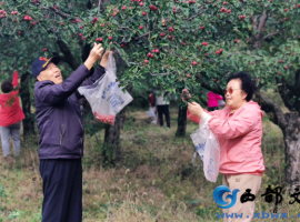 【张德玉诗词】满江红  山楂树下